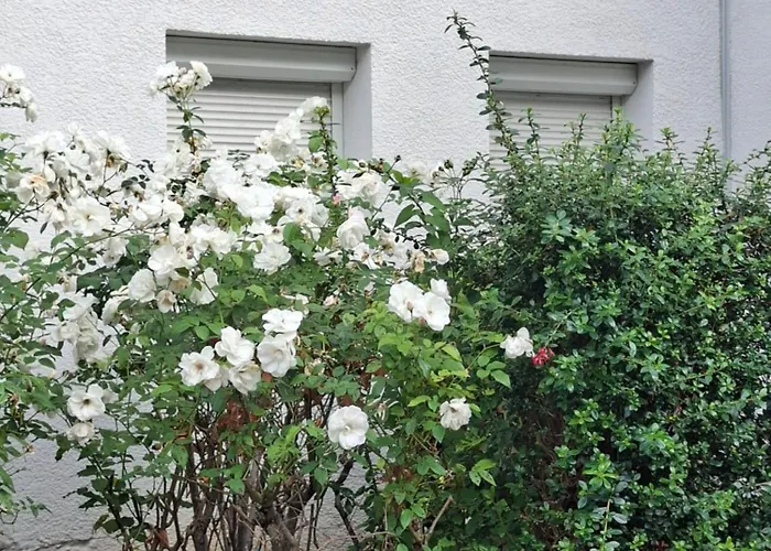 Daire Raphaelle #3 Centre Avec Parking Le Havre