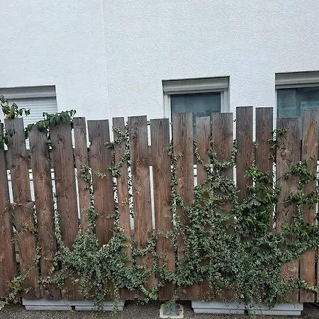 Raphaelle #3 Centre Avec Parking *